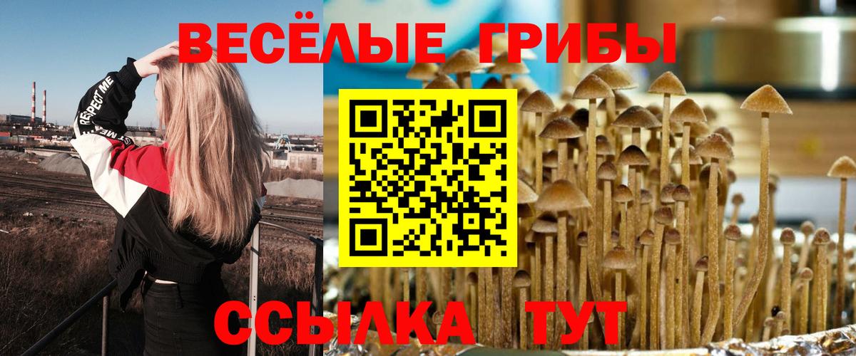 Псилоцибиновые грибы Magic Shrooms  Галлюциногенные грибы прущие грибы  Вход с VPN  Камень-на-Оби 